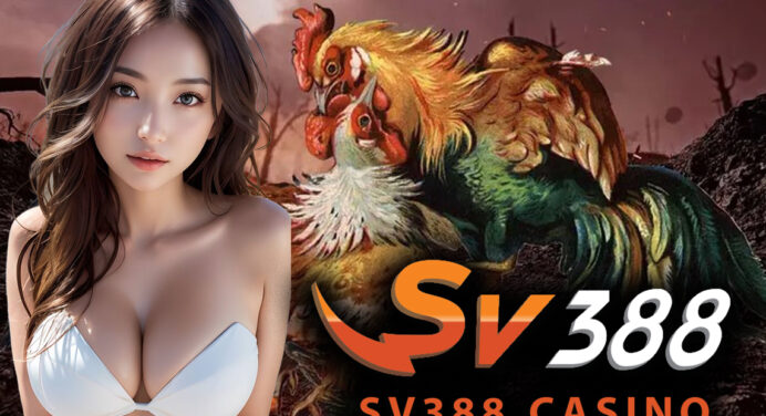Daftar Situs SV 388 Live Casino Cock Fighting